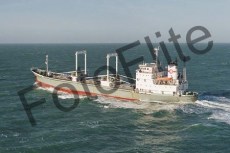 41887.jpg