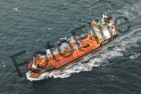 427763.jpg
