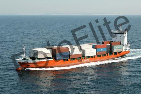 431423.jpg