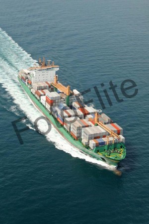 431597.jpg