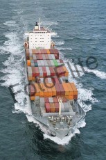 43673.jpg