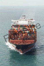 439798.jpg