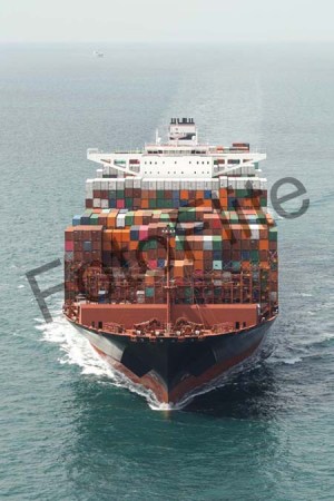 439798.jpg