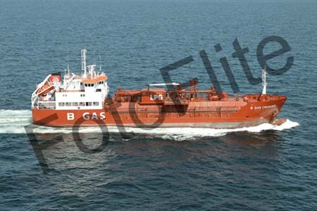 440664.jpg