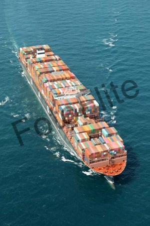 441913.jpg