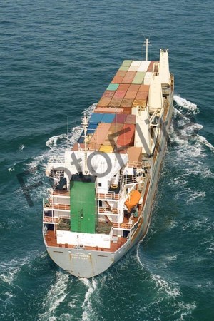 44501.jpg