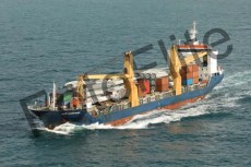 453205.jpg