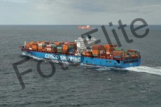 454819.jpg