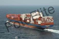 458040.jpg