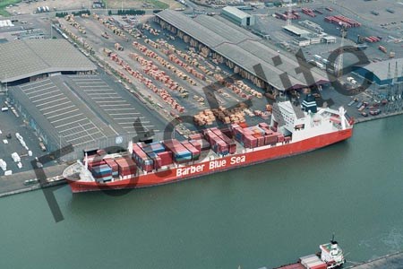 46443.jpg