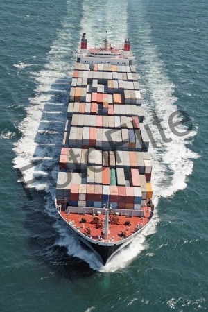 48735.jpg