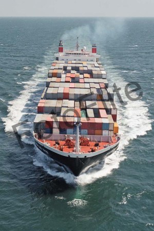 48743.jpg