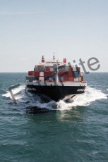 48745.jpg