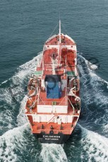 48855.jpg