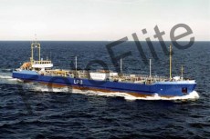 48937.jpg