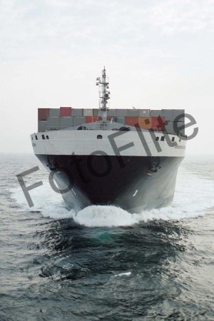 49359.jpg