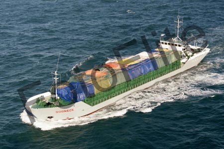 52449.jpg
