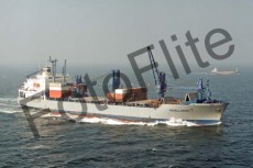 55189.jpg