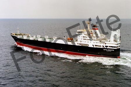 58402.jpg