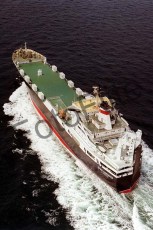 58406.jpg