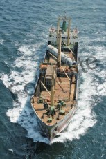 59432.jpg
