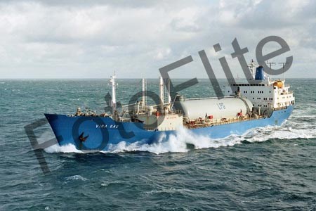 64923.jpg
