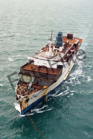 66476.jpg
