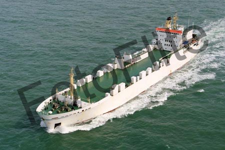 69221.jpg