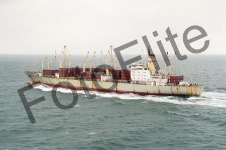 71304.jpg