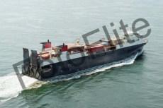 71445.jpg