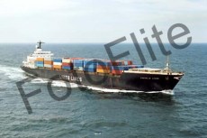 73503.jpg