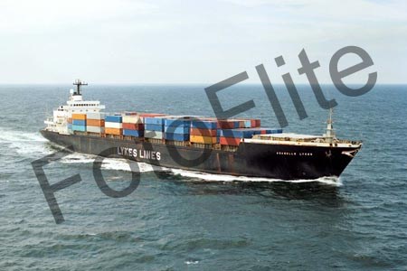 73503.jpg