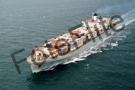 73849.jpg