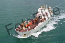 77869.jpg