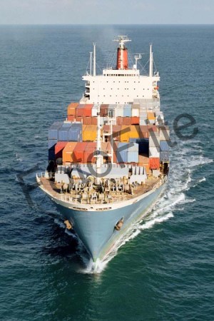 77948.jpg