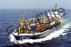 7950.jpg