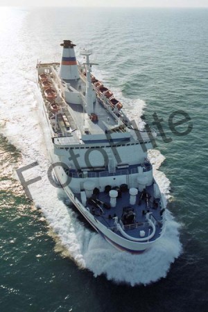 79901.jpg