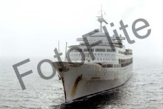 7995.jpg