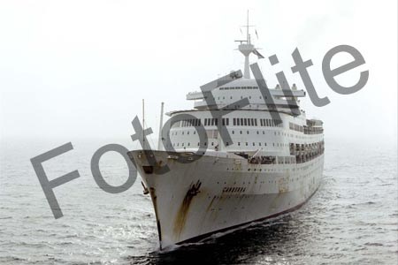 7995.jpg