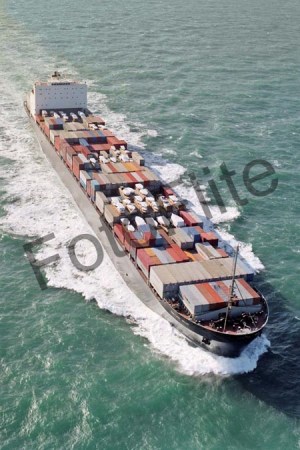 81055.jpg