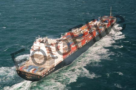 81064.jpg