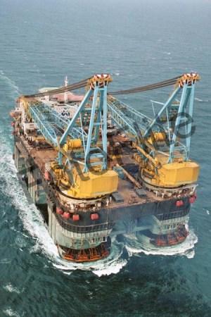 81375.jpg