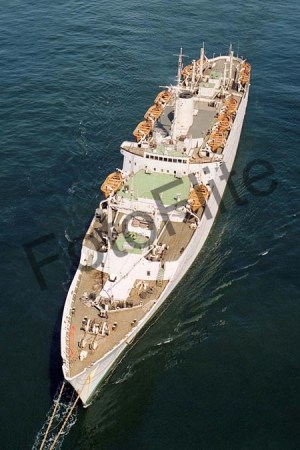 84264.jpg