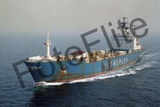 84905.jpg
