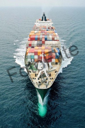 86765.jpg