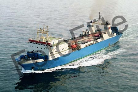 88087.jpg