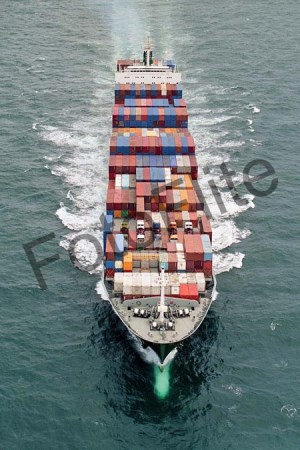 88956.jpg