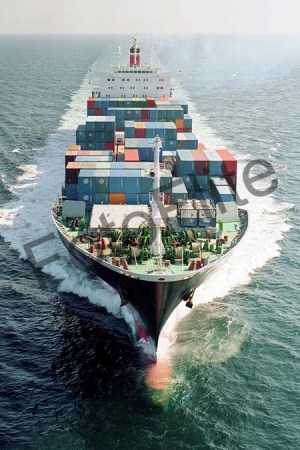 89133.jpg