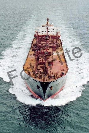 89154.jpg
