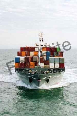 89766.jpg